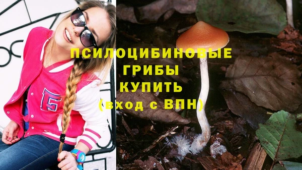 ECSTASY Алексеевка