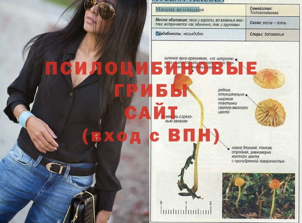 тгк Сосновый Бор