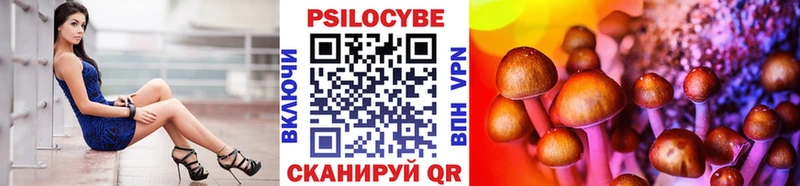 Псилоцибиновые грибы Psilocybe  цена   Ленинск 