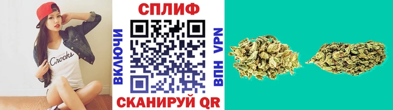 Шишки марихуана планчик  где можно купить наркотик  Ленинск 